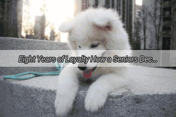 Eight Years of Loyalty How a Seniors DecadeOld Dog Proves True Companionship